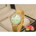 Latest Watch Diamond Women Hot Sale Alloy de alta qualidade Relógio de pulso dourado Cestbella Special Gifts Watch